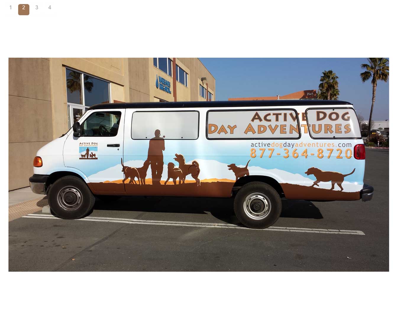 Exterior- Pet Dog USA